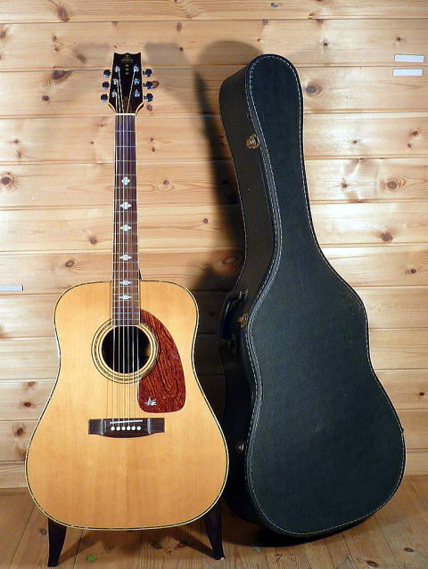 TAKEHARU WT-250 タケハルギター